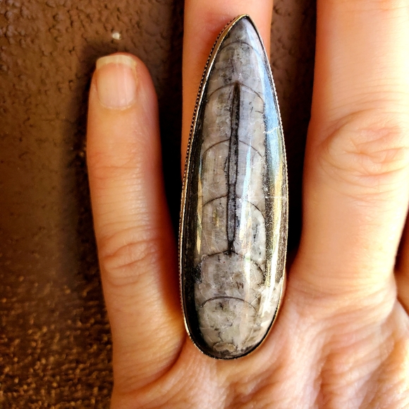 New Huge Orthoceras Fossil 925 Silver Statement Ring. - Picture 9 of 9